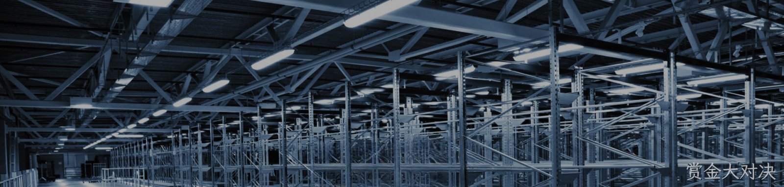 赏金大对决产品